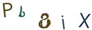 圖片的 CAPTCHA