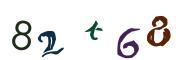 圖片的 CAPTCHA