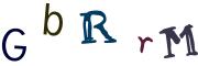 圖片的 CAPTCHA