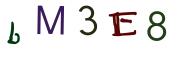 圖片的 CAPTCHA