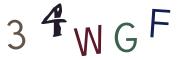 圖片的 CAPTCHA