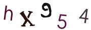 圖片的 CAPTCHA