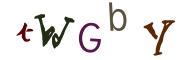 圖片的 CAPTCHA
