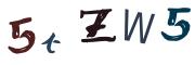 圖片的 CAPTCHA