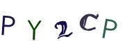 圖片的 CAPTCHA