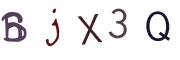 圖片的 CAPTCHA