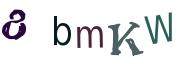 圖片的 CAPTCHA