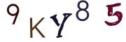 圖片的 CAPTCHA