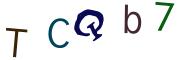 圖片的 CAPTCHA