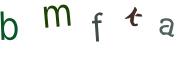 圖片的 CAPTCHA