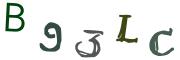 圖片的 CAPTCHA