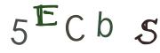 圖片的 CAPTCHA