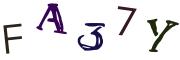 圖片的 CAPTCHA