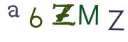 圖片的 CAPTCHA