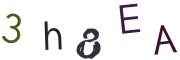 圖片的 CAPTCHA