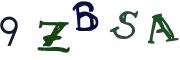 圖片的 CAPTCHA