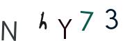 圖片的 CAPTCHA