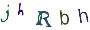 圖片的 CAPTCHA