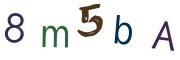 圖片的 CAPTCHA