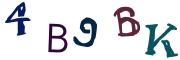 圖片的 CAPTCHA