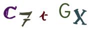 圖片的 CAPTCHA