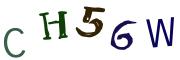 圖片的 CAPTCHA