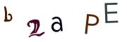 圖片的 CAPTCHA