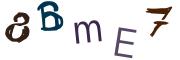 圖片的 CAPTCHA