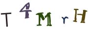 圖片的 CAPTCHA