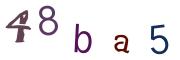 圖片的 CAPTCHA