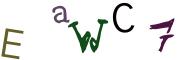 圖片的 CAPTCHA