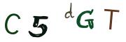 圖片的 CAPTCHA