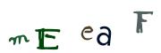 圖片的 CAPTCHA