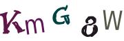 圖片的 CAPTCHA