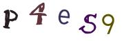 圖片的 CAPTCHA