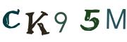 圖片的 CAPTCHA