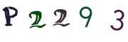 圖片的 CAPTCHA