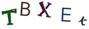 圖片的 CAPTCHA