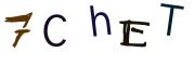 圖片的 CAPTCHA