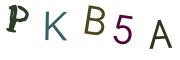 圖片的 CAPTCHA