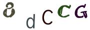 圖片的 CAPTCHA