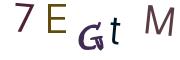 圖片的 CAPTCHA