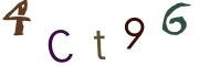 圖片的 CAPTCHA