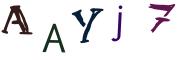 圖片的 CAPTCHA
