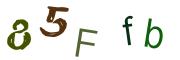 圖片的 CAPTCHA