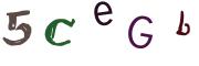 圖片的 CAPTCHA