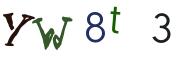 圖片的 CAPTCHA