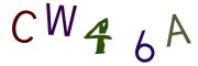 圖片的 CAPTCHA