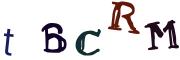 圖片的 CAPTCHA