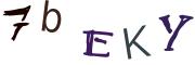圖片的 CAPTCHA